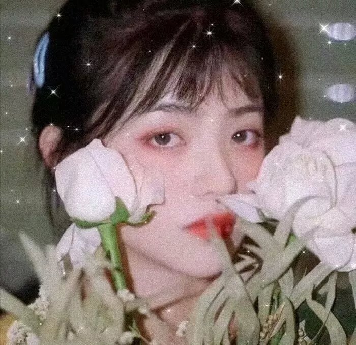 战队大失格